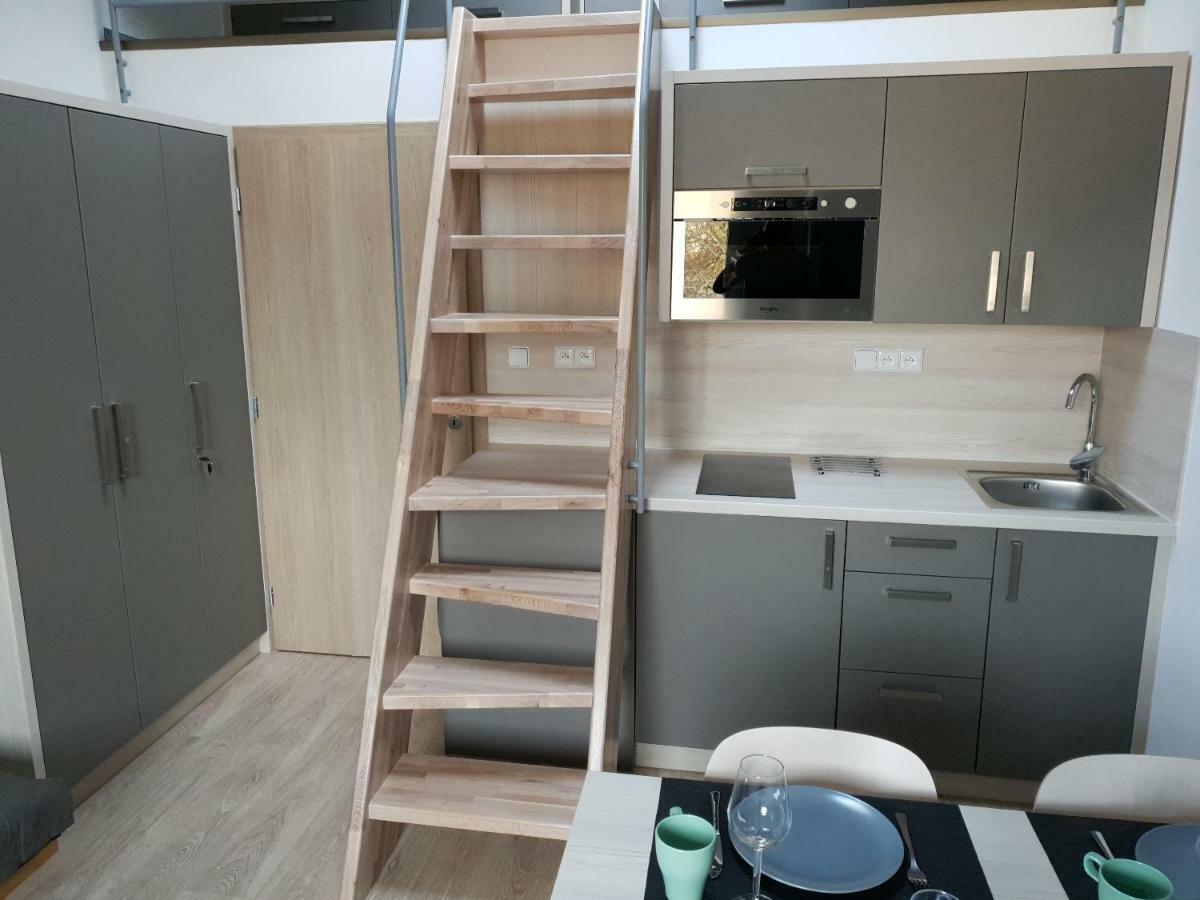 Apartman Pod Medvedi Horou Loučná nad Desnou Bagian luar foto