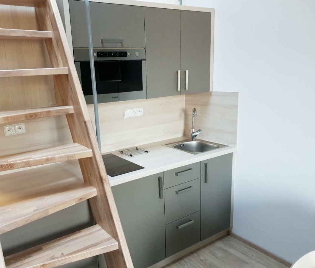Apartman Pod Medvedi Horou Loučná nad Desnou Bagian luar foto