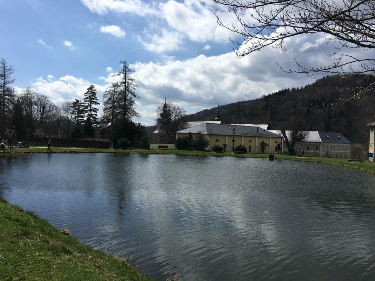 Apartman Pod Medvedi Horou Loučná nad Desnou Bagian luar foto