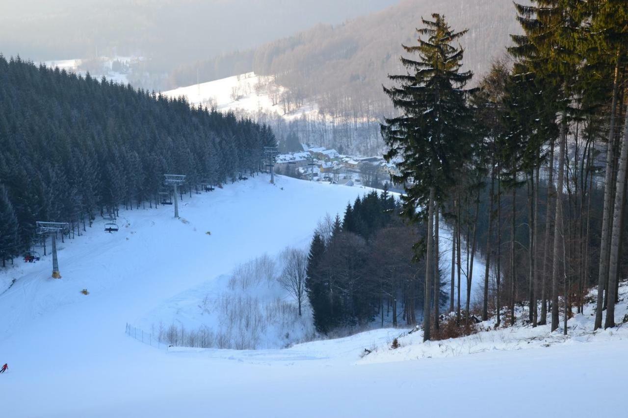 Apartman Pod Medvedi Horou Loučná nad Desnou Bagian luar foto