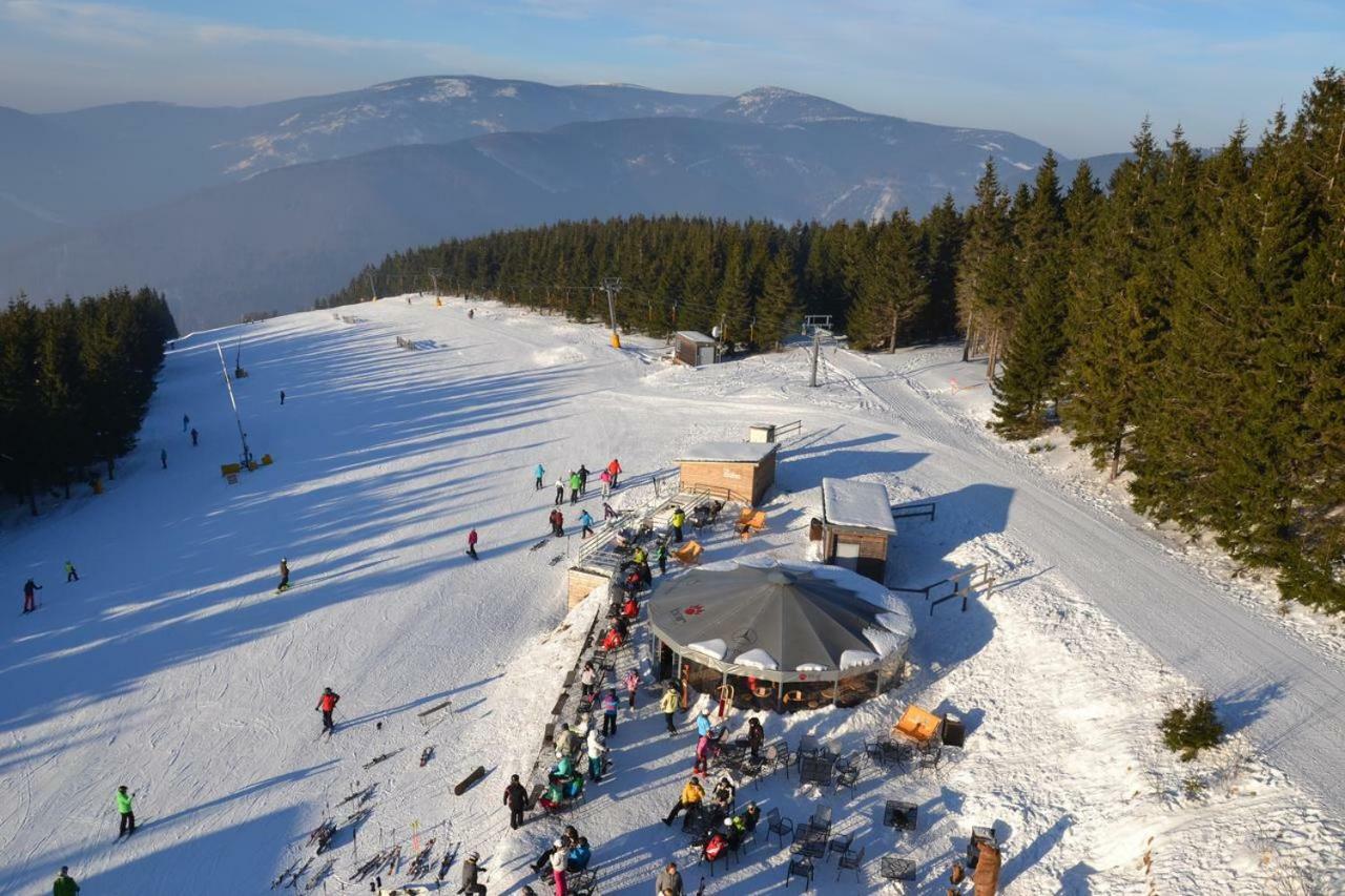 Apartman Pod Medvedi Horou Loučná nad Desnou Bagian luar foto